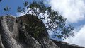 Great Zimbabwe